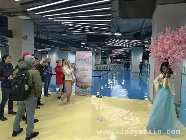 上海宝山：国际邮轮纷至沓来，“樱邮联动”开启春日浪漫之旅，3月16日吴淞口国际邮轮港刷新纪录，宝山多元活动引游客赞叹