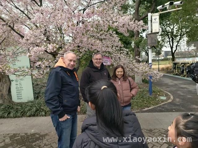 上海宝山：国际邮轮纷至沓来，“樱邮联动”开启春日浪漫之旅，3月16日吴淞口国际邮轮港刷新纪录，宝山多元活动引游客赞叹