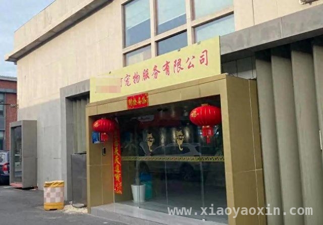 上海破获“星期宠”诈骗团伙，12人获刑大快人心，惊！多人团伙借“星期宠”诈骗寻衅滋事终受惩