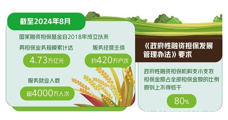 新规下政府性融资担保：精准发力小微“三农”领域，政府性融资担保新规：推动实体经济与就业双提升
