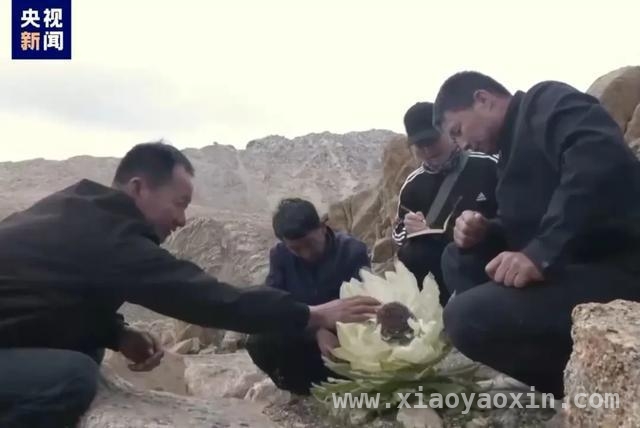 警惕路边“雪莲花”骗局，守护财产安全