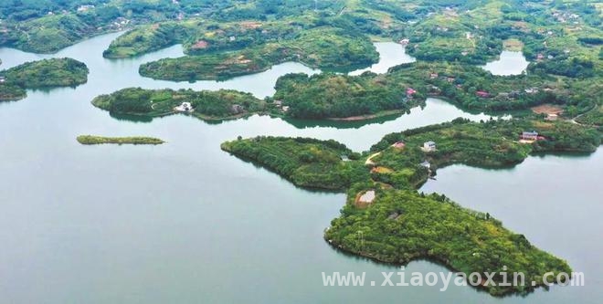 成都东部新区龙泉湖迎来“净水奇兵”：鲢鳙鱼苗投放打造水下净化系统