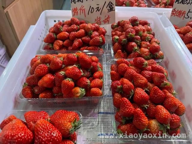 别再被误导！草莓食用真相全解析