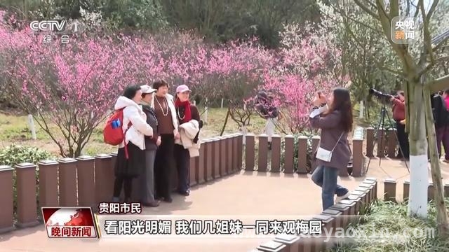 春日出行正当时，多地赏花游火爆
