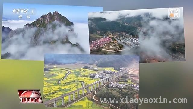 春日出行正当时，多地赏花游火爆