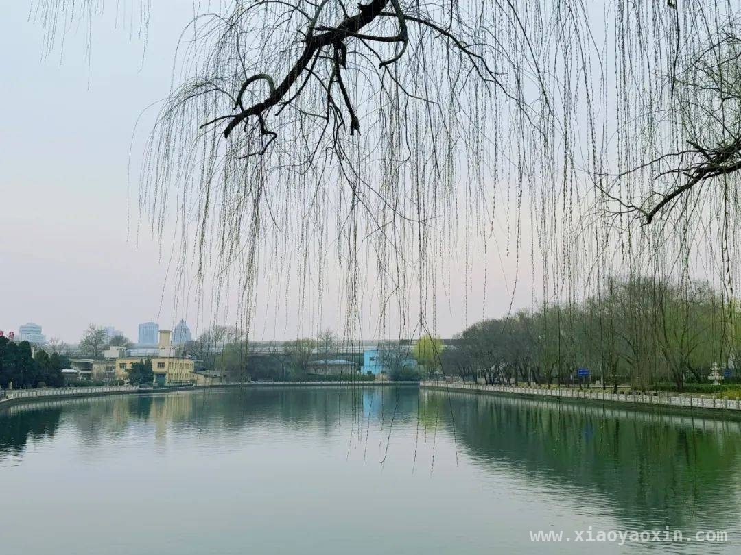 春日小众宝藏地，北展后湖与南长河的诗意之约 北展后湖与南长河：邂逅春日里的宁静与历史