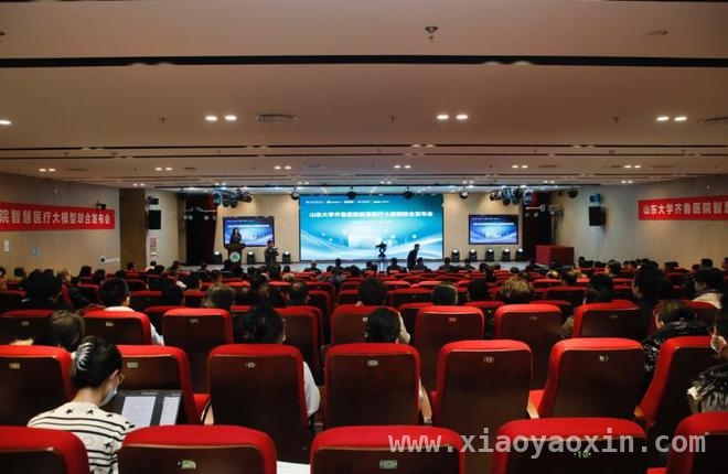 山东大学齐鲁医院携手科技企业，以三大模型推动医疗数智化转型