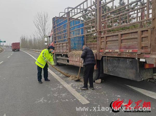 滨州南收费站：以爱之名，助力司机转运活鸭，活鸭货车滞留，滨州南收费站工作人员暖心救助