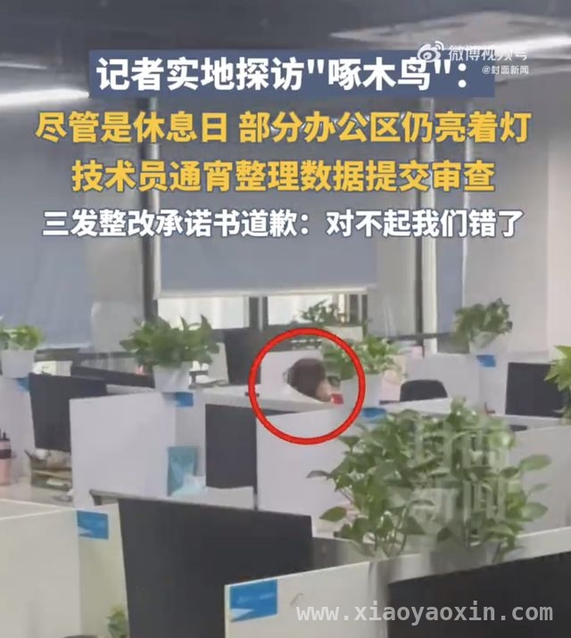 啄木鸟家庭维修“二进宫”，消费者权益谁来守护？ 被315曝光后，啄木鸟家庭维修的整改承诺能否兑现？