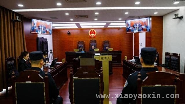 北京一店主走私象牙河马牙制品获刑，敲响法律警钟 珍贵动物制品走私案：沈某因无知付出代价