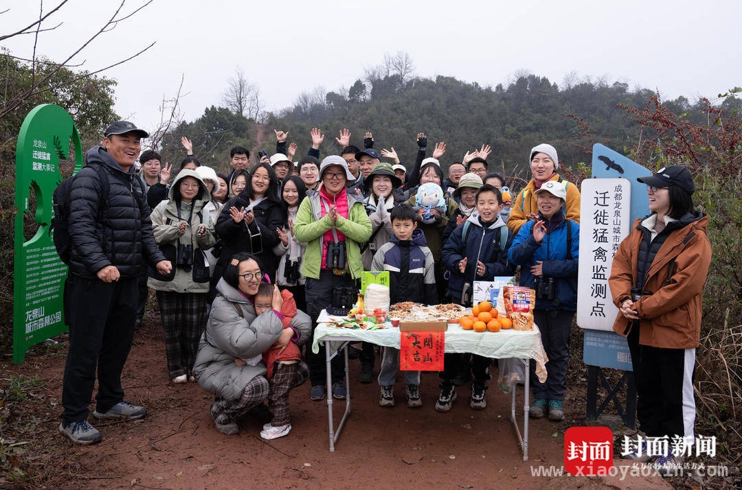 珍稀草原雕现身龙泉山，猛禽迁徙监测成果丰硕