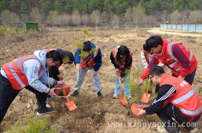 第47个植树节，中铁二局助力天陇铁路生态建设