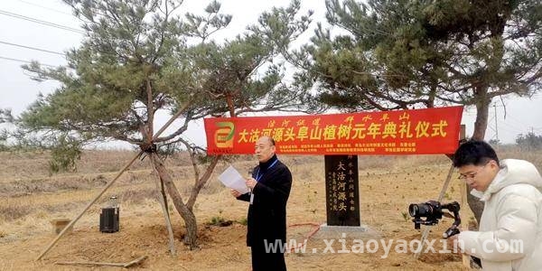 走进大沽河源头植树活动，感受环保担当