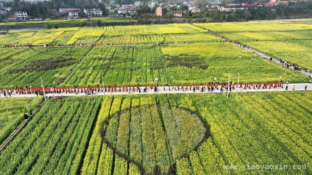 “姐妹跑起来”开启洞口油菜花季，春日盛景等你赴约，相约洞口，在油菜花海中邂逅春天——“姐妹跑起来”活动盛启