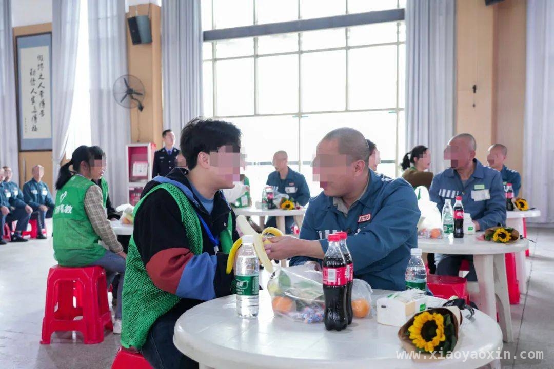 高墙内的春天：亲情温暖服刑人员心灵，春日高墙下的温暖回响