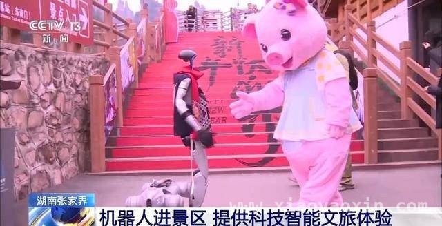 张家界景区：机器人演绎科技与旅游的完美融合 走进张家界，感受机器人打造的智慧文旅之旅