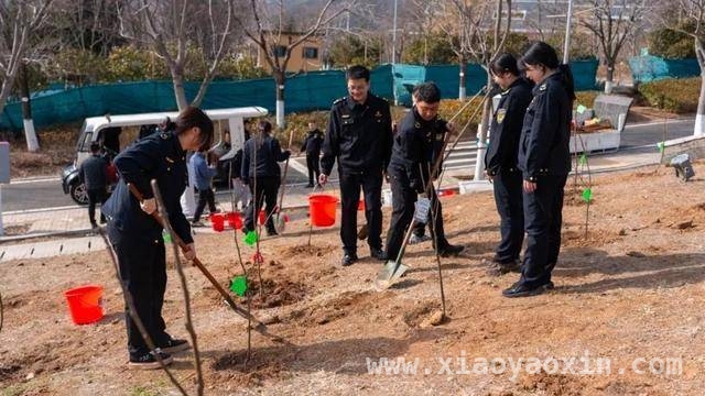 李沧区青年植树节种下希望，为绿色发展添砖加瓦，春日植树，李沧青年携手绘就生态新画卷