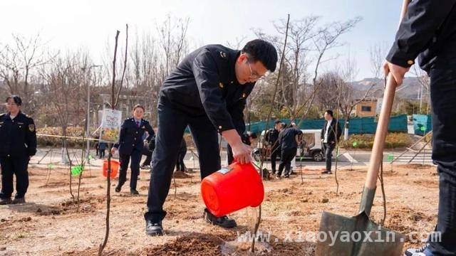 李沧区青年植树节种下希望，为绿色发展添砖加瓦，春日植树，李沧青年携手绘就生态新画卷