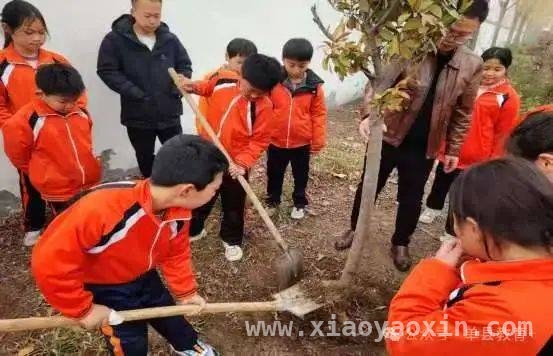 单县植树节活动：让绿色理念扎根孩子心中，第47个植树节，单县孩子用行动添新绿
