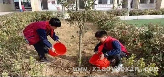 单县植树节活动：让绿色理念扎根孩子心中，第47个植树节，单县孩子用行动添新绿