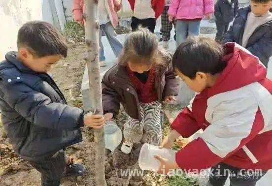 单县植树节活动：让绿色理念扎根孩子心中，第47个植树节，单县孩子用行动添新绿