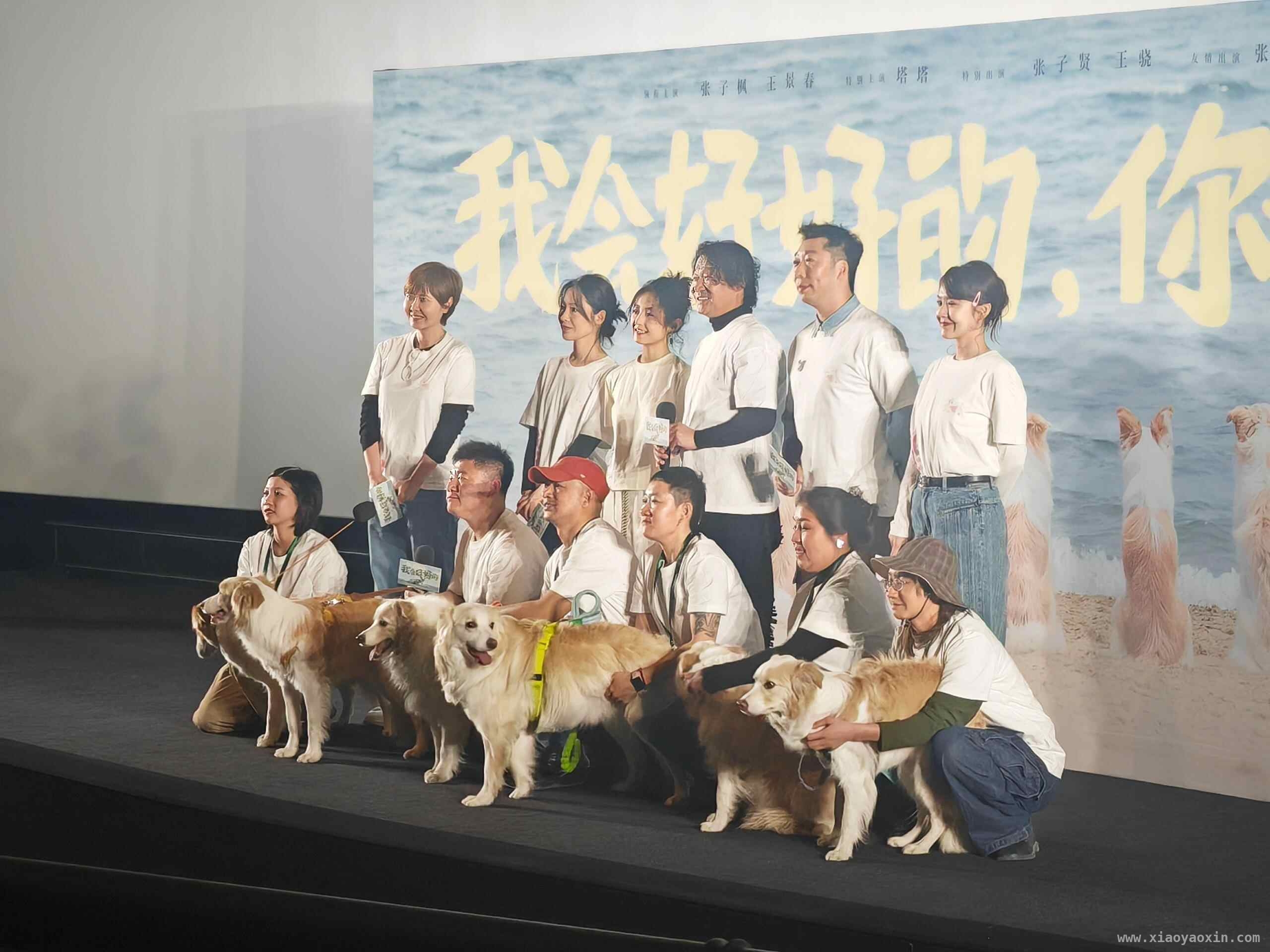 3月18 – 21日继续点映，有何魅力？