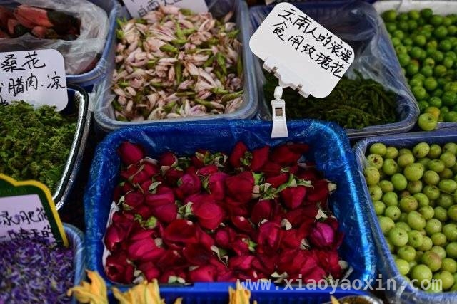 2025春日踏青新玩法曝光，中西部文旅市场表现亮眼，赏花经济遇上多业态融合，春日文旅消费潜力大释放