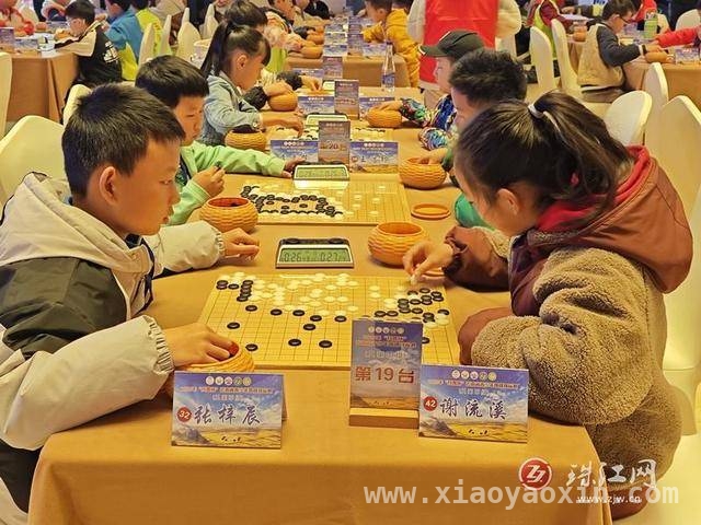 2025“科普杯”云南青少年围棋赛曲靖罗平圆满收官，棋艺与文化共绽光彩