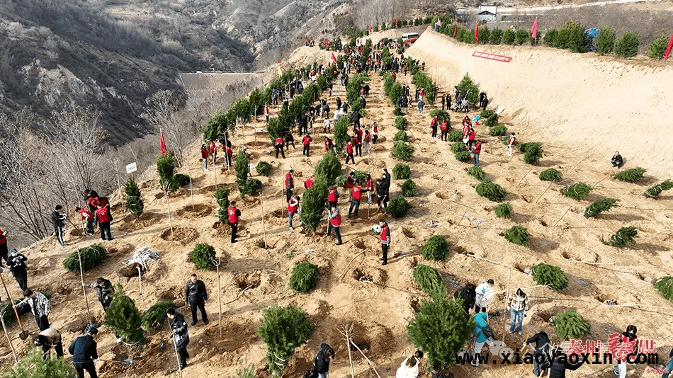 秦州义务植树活动：领导带头添新绿