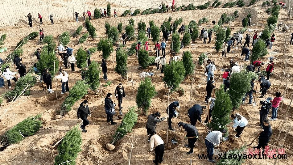 秦州义务植树活动：领导带头添新绿