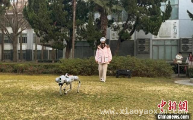 金晶团队研发新系统，四足机器人控制有了新范式 混合现实增强脑机接口，赋能四足机器人走进现实