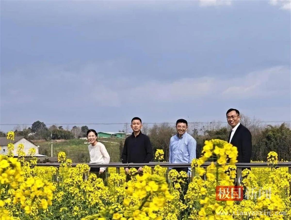 油菜花田间的尬舞：乡镇干部为民生放下个人“面子”