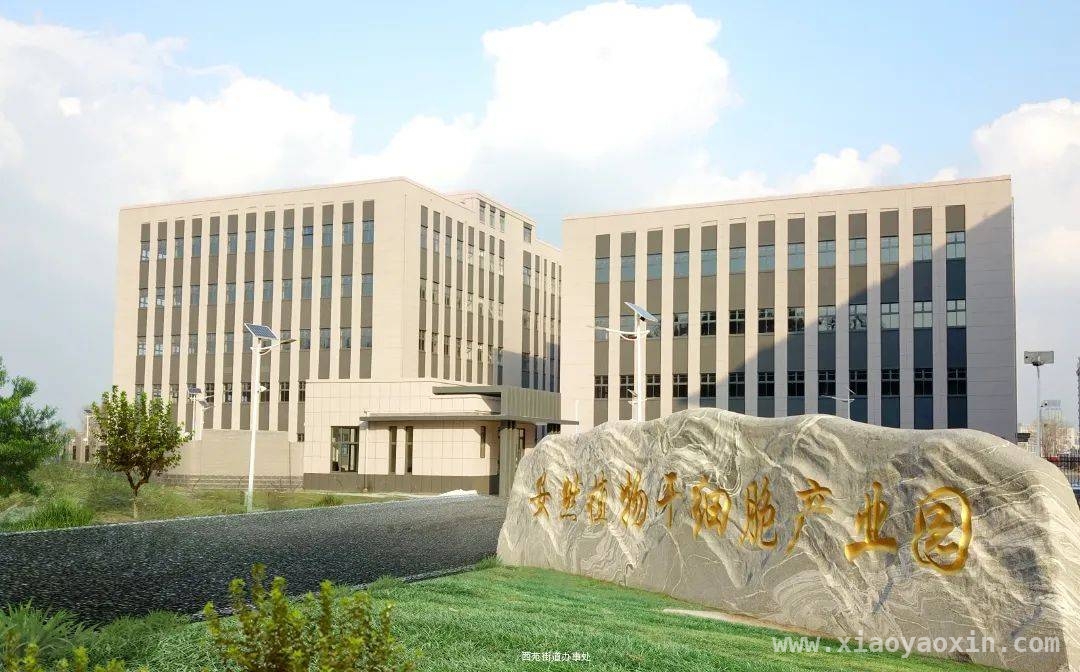 西苑街道：经济、教育与人文共谱幸福篇章，西苑街道：多元产业与优质民生的现代化城镇