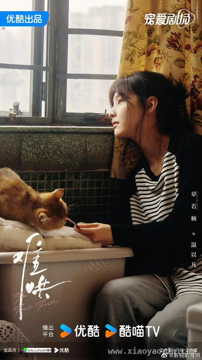 难哄登顶热度榜，开启影视创作新风向，难哄：在生活褶皱中探寻女性觉醒与爱情真谛