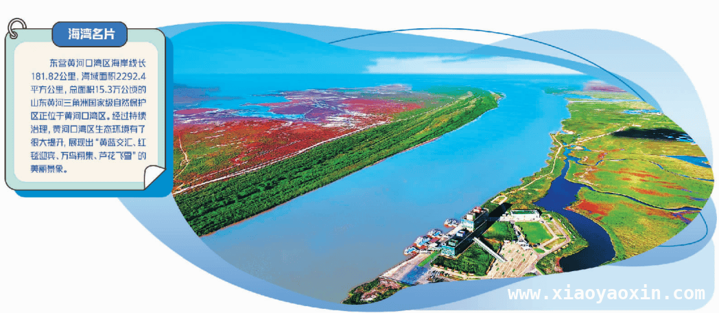 黄河口湾区：美丽海湾带动海洋经济与文旅产业双腾飞，东营黄河口湾区：生态底色铺就产业发展的绿色之路