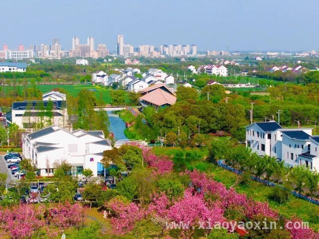 想当“故事大王”？奉贤南桥赛区比赛等你来战！，奉贤南桥故事会宣讲大赛，五大赛道火力全开！