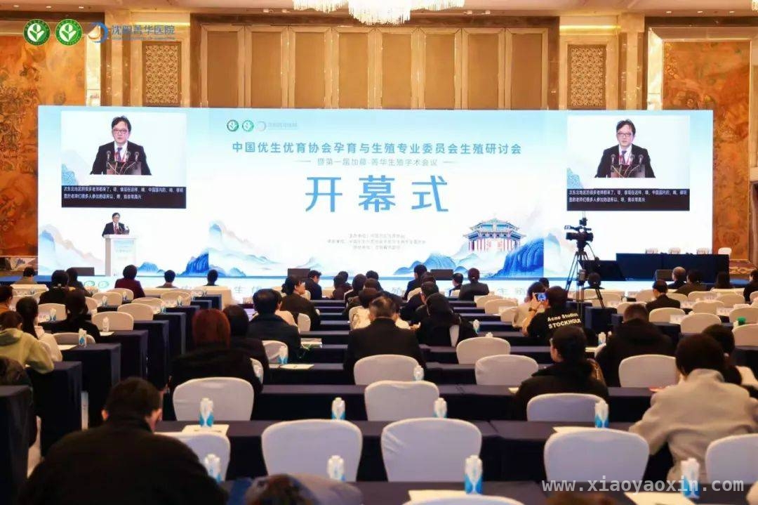 中日专家齐聚沈阳，共探生育力提升新路径，沈阳生殖会议聚焦难题，菁华医院引领生育变革