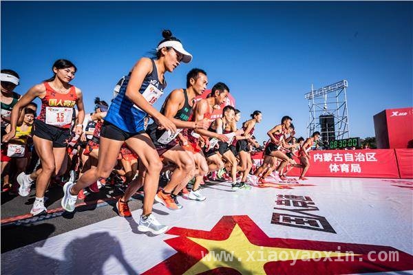 从业绩到市场，特步2024年的跑步传奇之路，特步2024：专业跑步品牌的崛起与突破