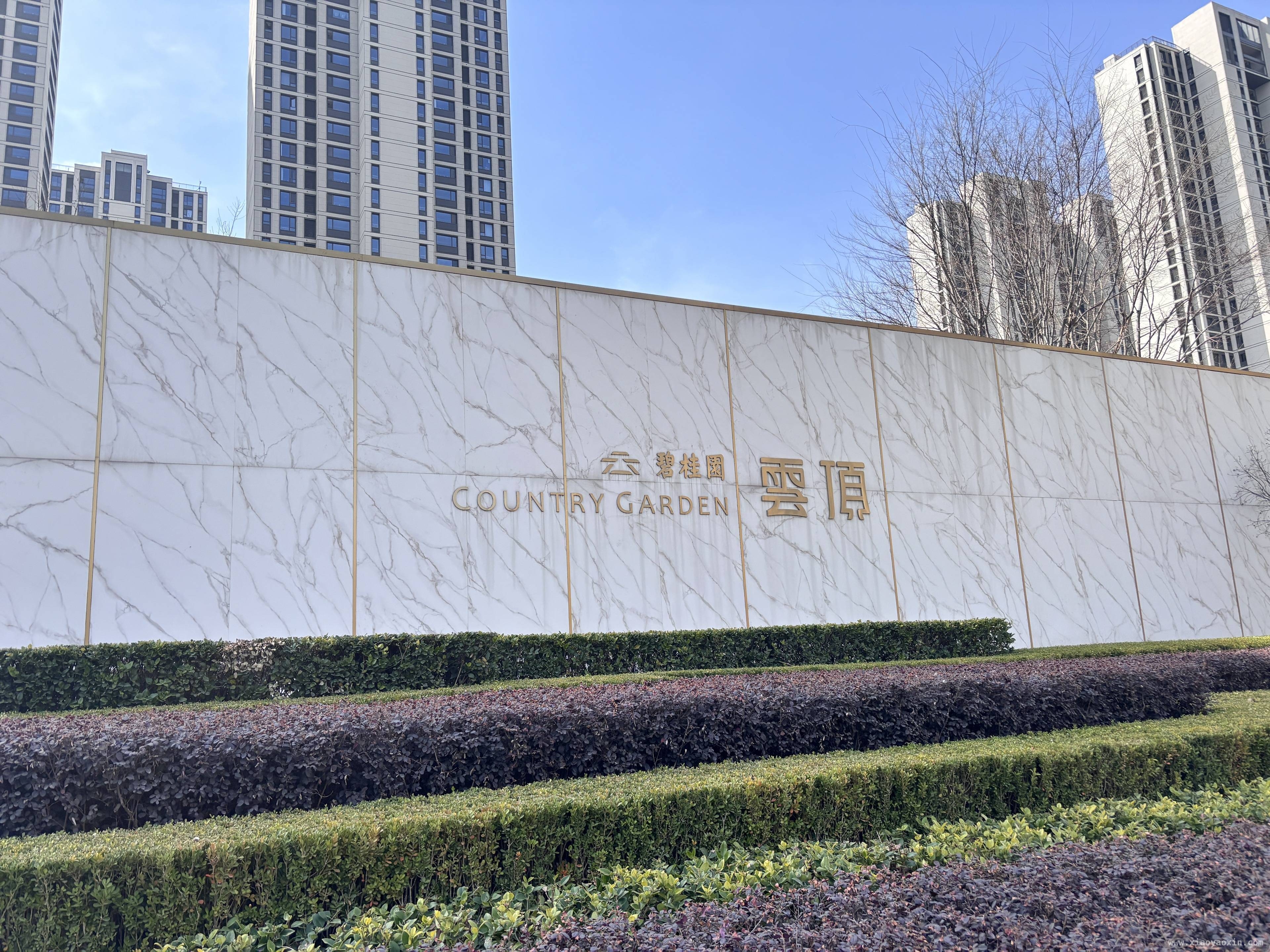 碧桂园云顶四期降价背后：销售焦虑与市场困境 头部项目降价！碧桂园云顶四期折射房地产市场新危机