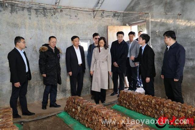 聚焦食品标准与数字标签，德州夏津特色食品产业迎新机遇 德州夏津：食品标准审评会助力特色食品产业腾飞