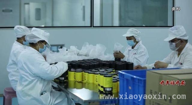 2025，永定区农业农村局推动莓茶产业再上新台阶