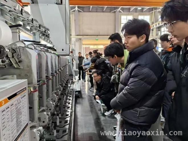 “青雁归巢”引才，崂山区产业发展再添新动力，“青雁归巢”：崂山区搭建人才与产业对接的桥梁