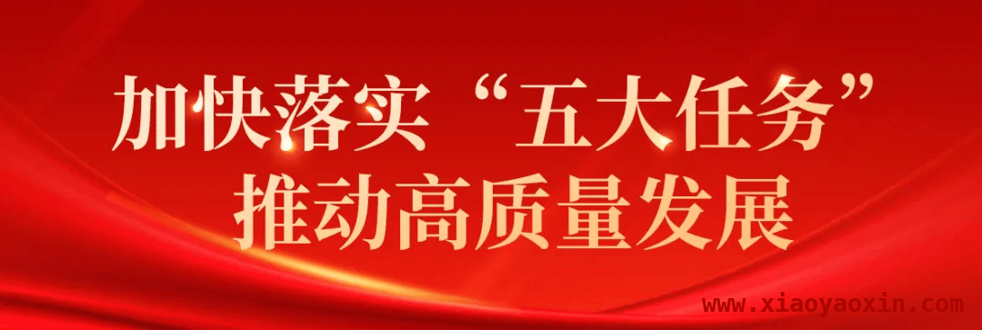 乌海市多举措推进生态建设，荒漠化面积双减少