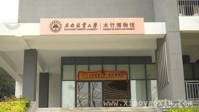 探秘西南林业大学木竹博物馆，解锁木竹文化新密码