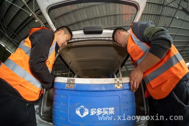 小城青年借多多买菜逆袭，开启创业新篇