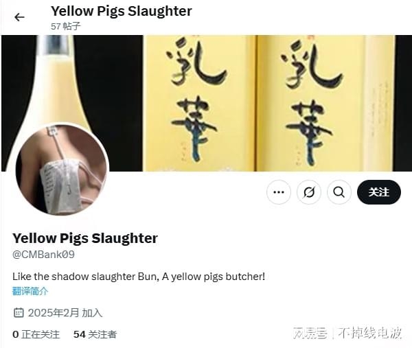 X平台反华博主投毒闹剧：水源安全与社会秩序谁来守护？