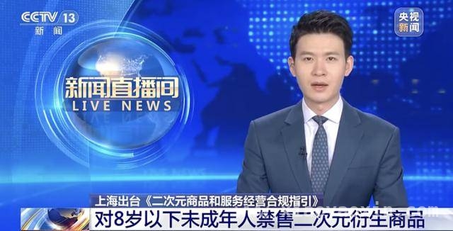 上海黄浦区为二次元产业“立规”，助力市场有序繁荣，上海黄浦区“合规指引”为二次元产业野蛮生长画上句号