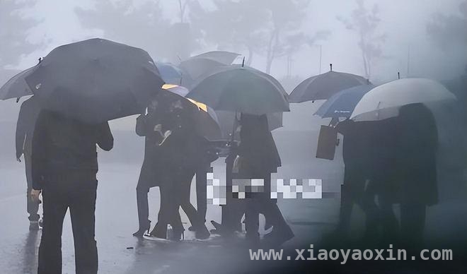 惊！马筱梅怒怼网友，孩子未送别大S竟是这原因