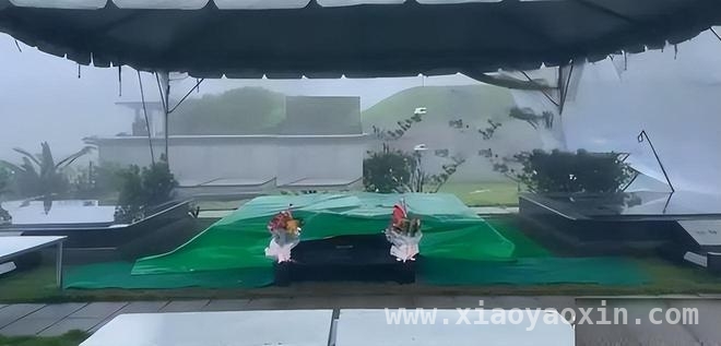 惊！马筱梅怒怼网友，孩子未送别大S竟是这原因