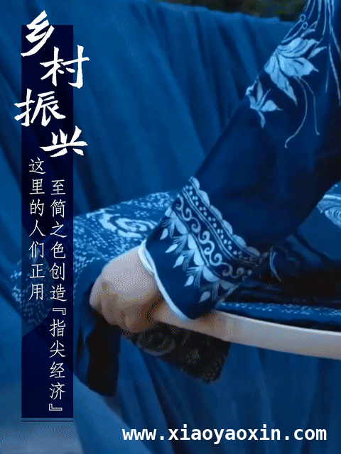 贵州蜡染：从古老技艺到乡村振兴的新力量，探秘贵州蜡染：千年蓝白间的文化传奇